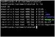 Configurando servidor linux para hospedagem de